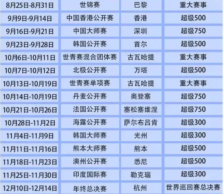 的踝后撞击 的踝后撞击