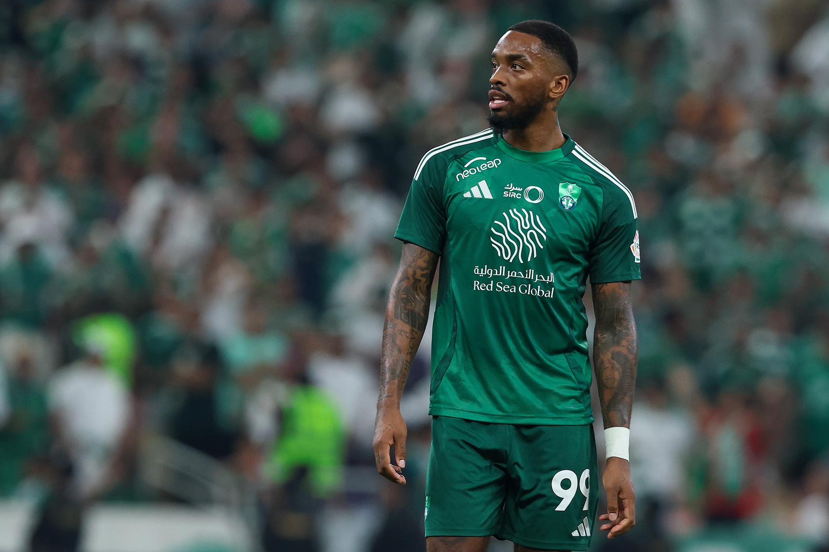 伊万托尼连, 想选择, 去了一些关 伊万托尼连, 想选择, 去了一些关